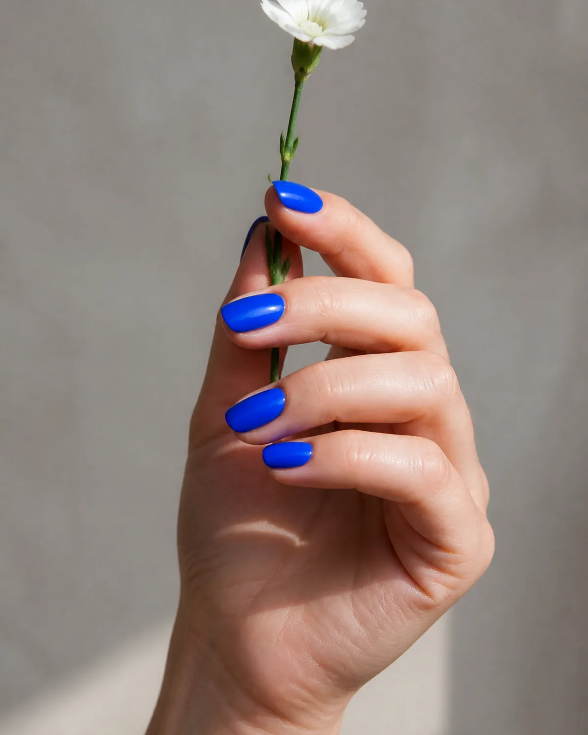 Single hand with vivid cerulean blue nails on medium oval shape lightly holding a single white flower