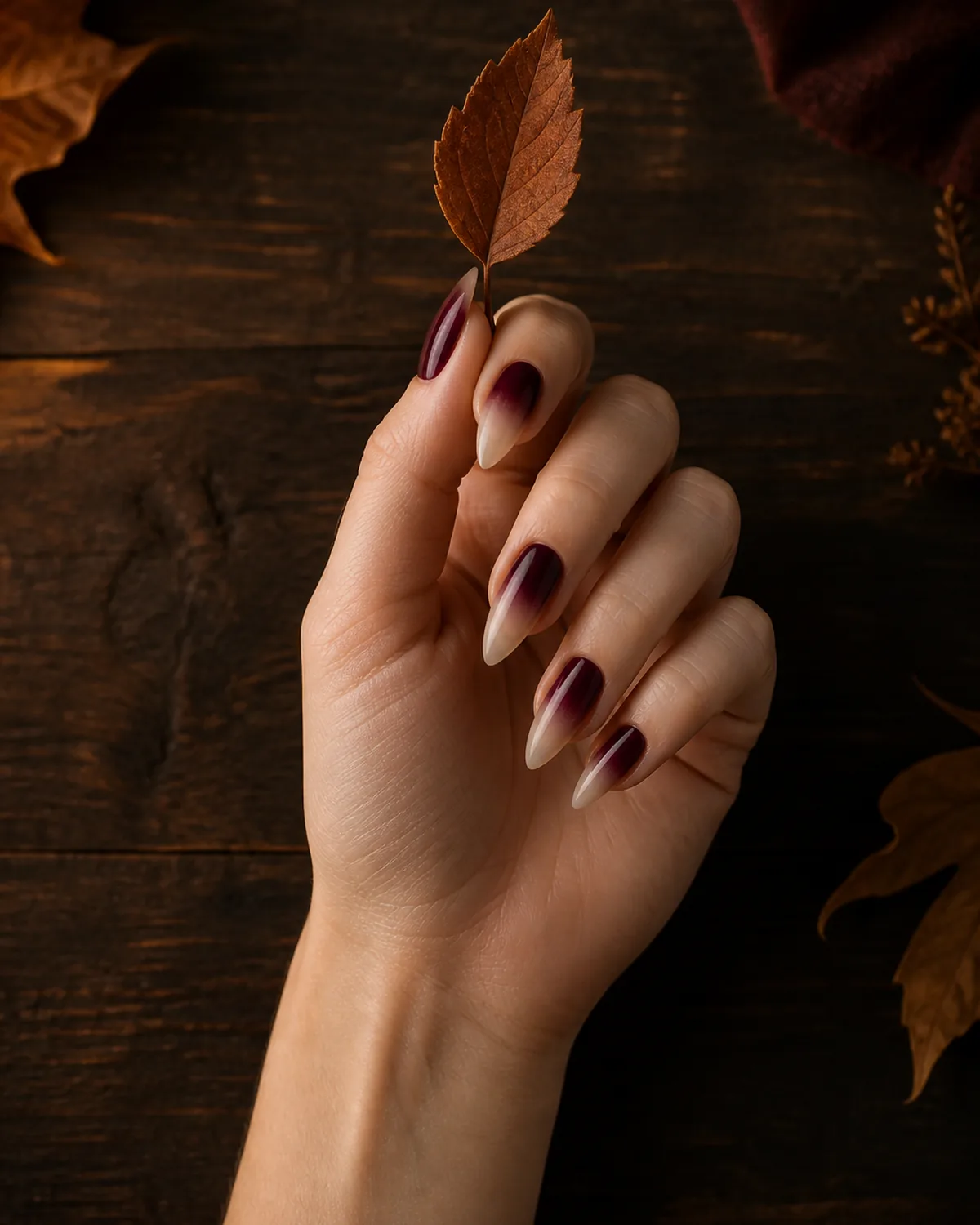 Single right hand lightly holding a dried autumn leaf with medium stiletto nails featuring burgundy-to-nude deep ombre
